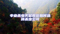 专业杀虫灭鼠教您如何选择杀虫公司