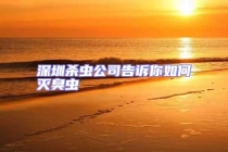 深圳杀虫公司告诉你如何灭臭虫