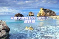 专业灭蚊蝇公司 带您了解苍蝇