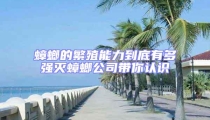 蟑螂的繁殖能力到底有多强灭蟑螂公司带你认识