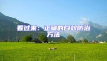 看过来：正确的白蚁防治方法