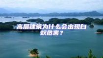 高层建筑为什么会出现白蚁危害？