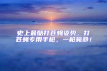 史上最酷打苍蝇姿势，打苍蝇专用手枪，一枪毙命！