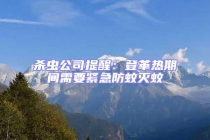 杀虫公司提醒：登革热期间需要紧急防蚊灭蚊