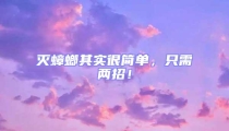 灭蟑螂其实很简单,只需两招!