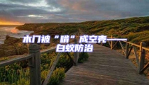 木门被“啃”成空壳——白蚁防治