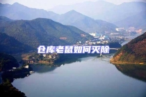 仓库老鼠如何灭除