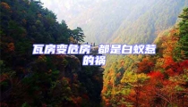 瓦房变危房 都是白蚁惹的祸