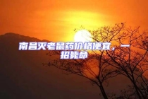 南昌灭老鼠药价格便宜，一招毙命