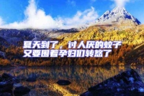 夏天到了，讨人厌的蚊子又要围着孕妇们转悠了