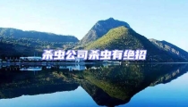 杀虫公司杀虫有绝招