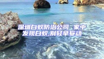 深圳白蚁防治公司 家中发现白蚁,别轻举妄动