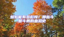 蜈蚣能有多彪悍！那些斗智斗勇的血泪史