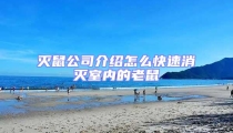 灭鼠公司介绍怎么快速消灭室内的老鼠