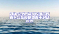 为什么使用杀蟑胶饵后既看不到死蟑螂也看不到活蟑螂
