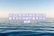 为什么使用杀蟑胶饵后既看不到死蟑螂也看不到活蟑螂