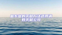 最专业的灭鼠方法还得请教灭鼠公司