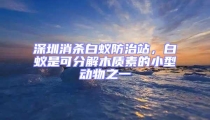 深圳消杀白蚁防治站,白蚁是可分解木质素的小型动物之一