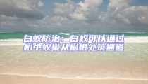 白蚁防治:白蚁可以通过树中蚁巢从树根处筑通道