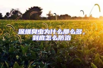 深圳臭虫为什么那么多，到底怎么防治