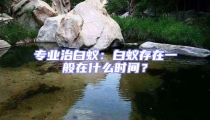 专业治白蚁:白蚁存在一般在什么时间?