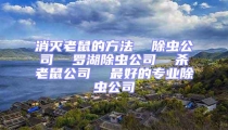 消灭老鼠的方法  除虫公司  罗湖除虫公司  杀老鼠公司  最好的专业除虫公司