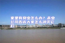 家里有臭虫怎么办？杀虫公司告诉大家怎么消灭它们