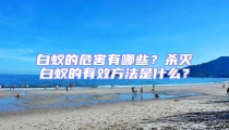 白蚁的危害有哪些？杀灭白蚁的有效方法是什么？