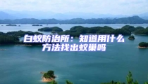 白蚁防治所：知道用什么方法找出蚁巢吗