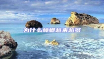 为什么蟑螂越来越多