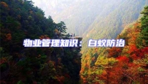 物业管理知识:白蚁防治