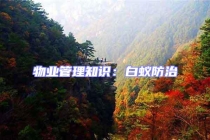 物业管理知识：白蚁防治