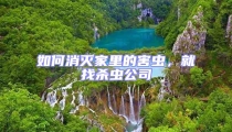 如何消灭家里的害虫，就找杀虫公司