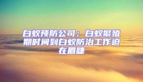 白蚁预防公司:白蚁繁殖期时间到白蚁防治工作迫在眉睫