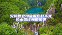 灭蟑螂公司告诉你打不死的小强该如何消灭