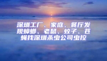深圳工厂、家庭、餐厅发现蟑螂、老鼠、蚊子、苍蝇找深圳杀虫公司虫控
