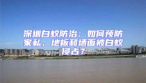 深圳白蚁防治：如何预防家私、地板和墙面被白蚁侵占？