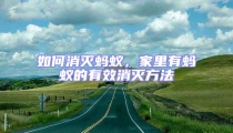 如何消灭蚂蚁，家里有蚂蚁的有效消灭方法