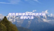 推荐最简单有小的消灭蟑螂的方法