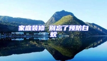 家庭装修 别忘了预防白蚁