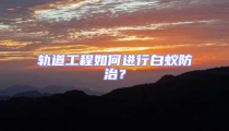 轨道工程如何进行白蚁防治？