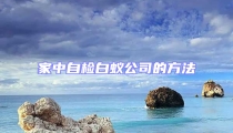 家中自检白蚁公司的方法