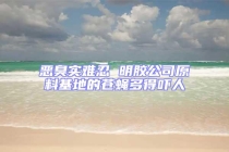 恶臭实难忍 明胶公司原料基地的苍蝇多得吓人