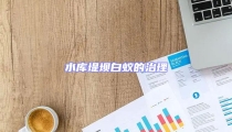 水库堤坝白蚁的治理