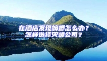 在酒店发现蟑螂怎么办?怎样选择灭蟑公司?