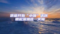 供暖开始“小强”活跃 明起深圳统一灭蟑