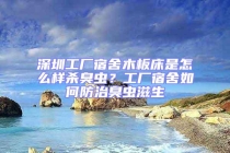 深圳工厂宿舍木板床是怎么样杀臭虫？工厂宿舍如何防治臭虫滋生