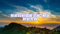 揭密白蚁猖獗之因 教您防蚁灭蚁
