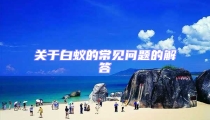 关于白蚁的常见问题的解答