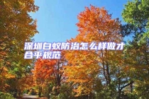 深圳白蚁防治怎么样做才合乎规范